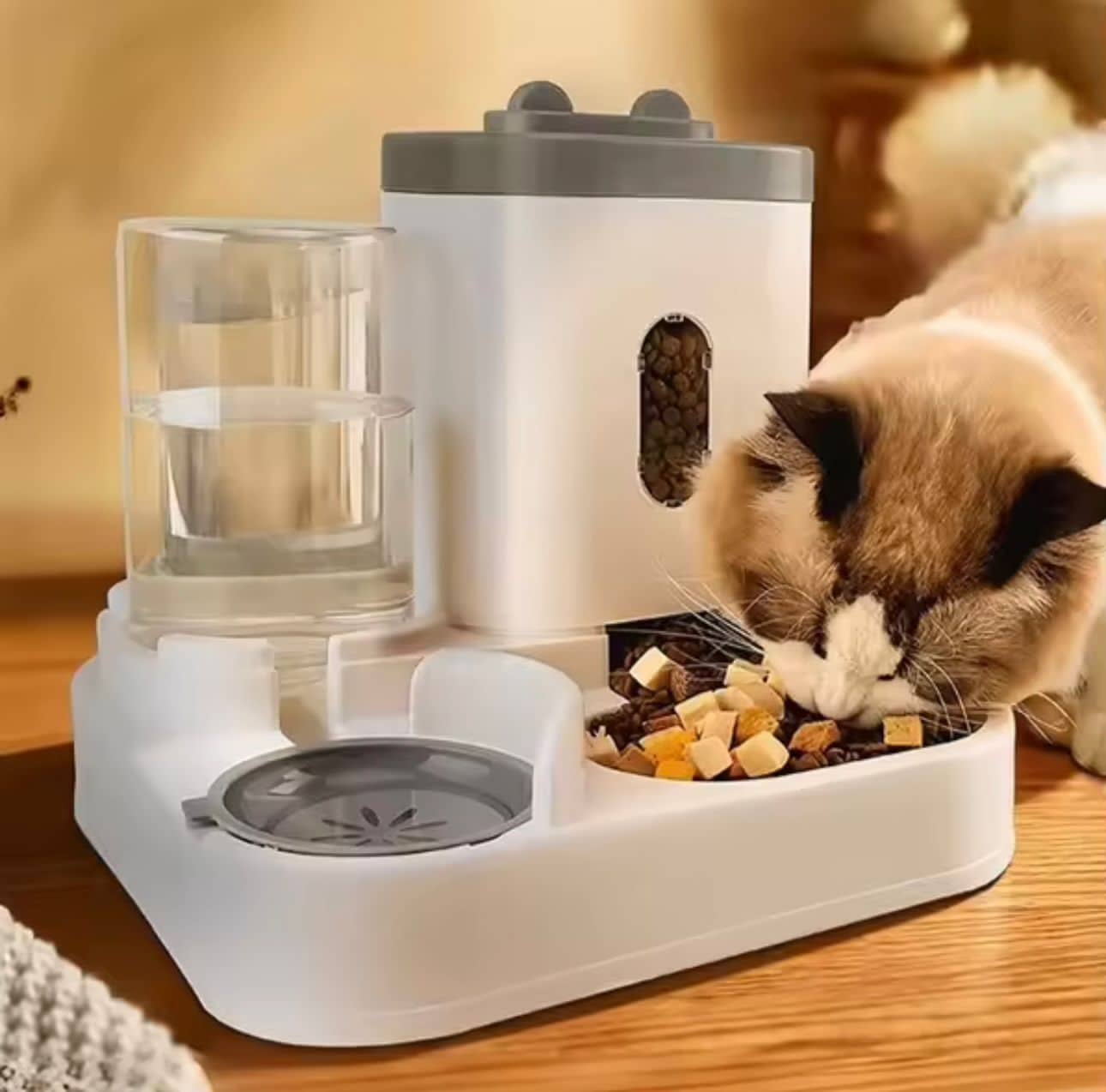 Alimentador Automático - Cuenco de Comida y Fuente de Agua